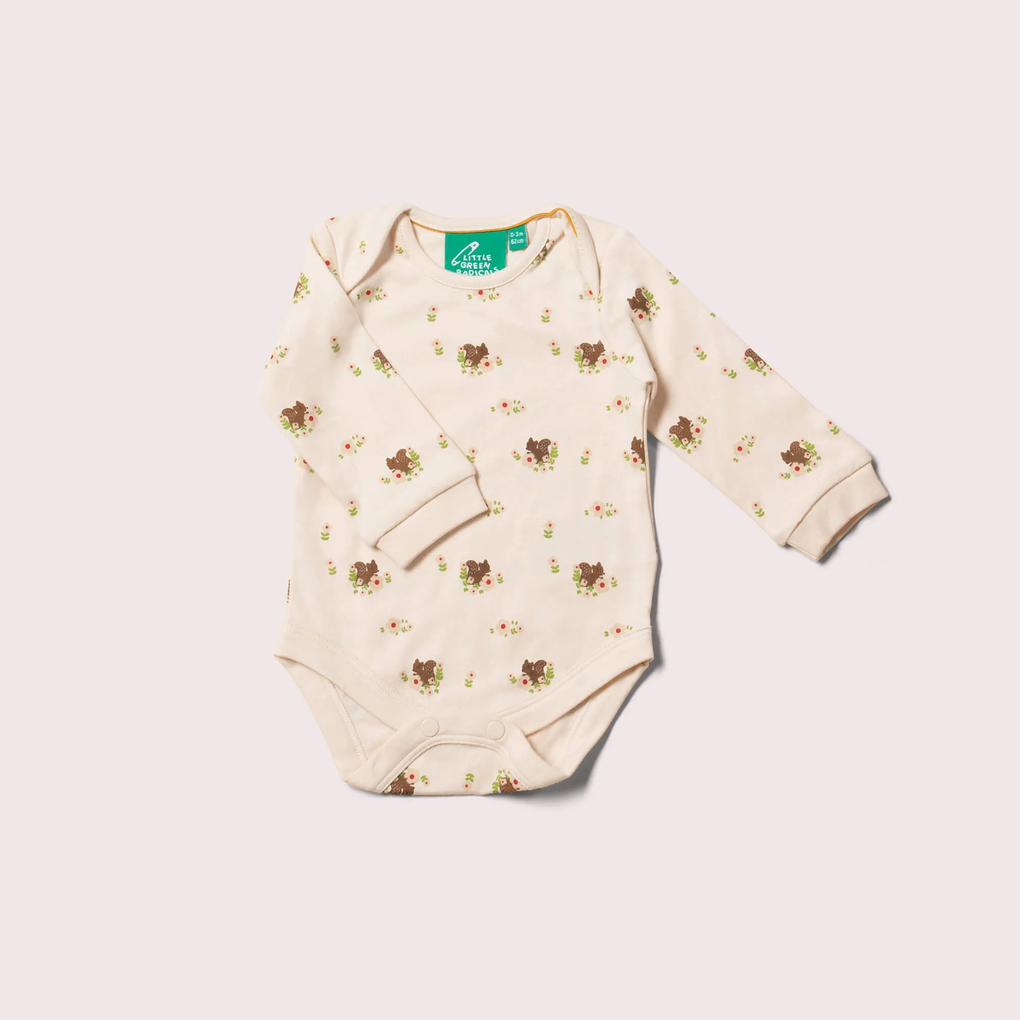 Autumn Squirrel Organic Baby Bodysuit Set
