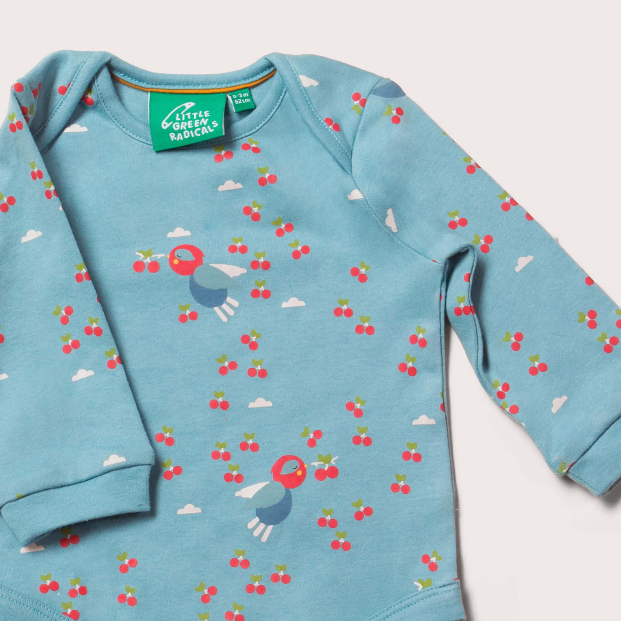 Cherry Blossom Organic Baby Bodysuit Set