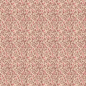 Edyta Sitar - Lady Tulip - Reed - Carnation