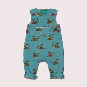 Rainbow Tigers Adventure Dungarees